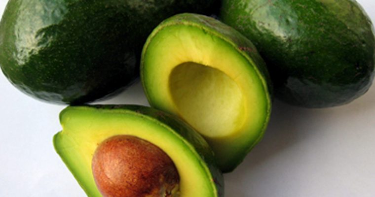 Abacate (Avocado)