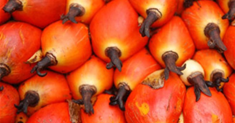 Azeite de dendê (Palm oil)