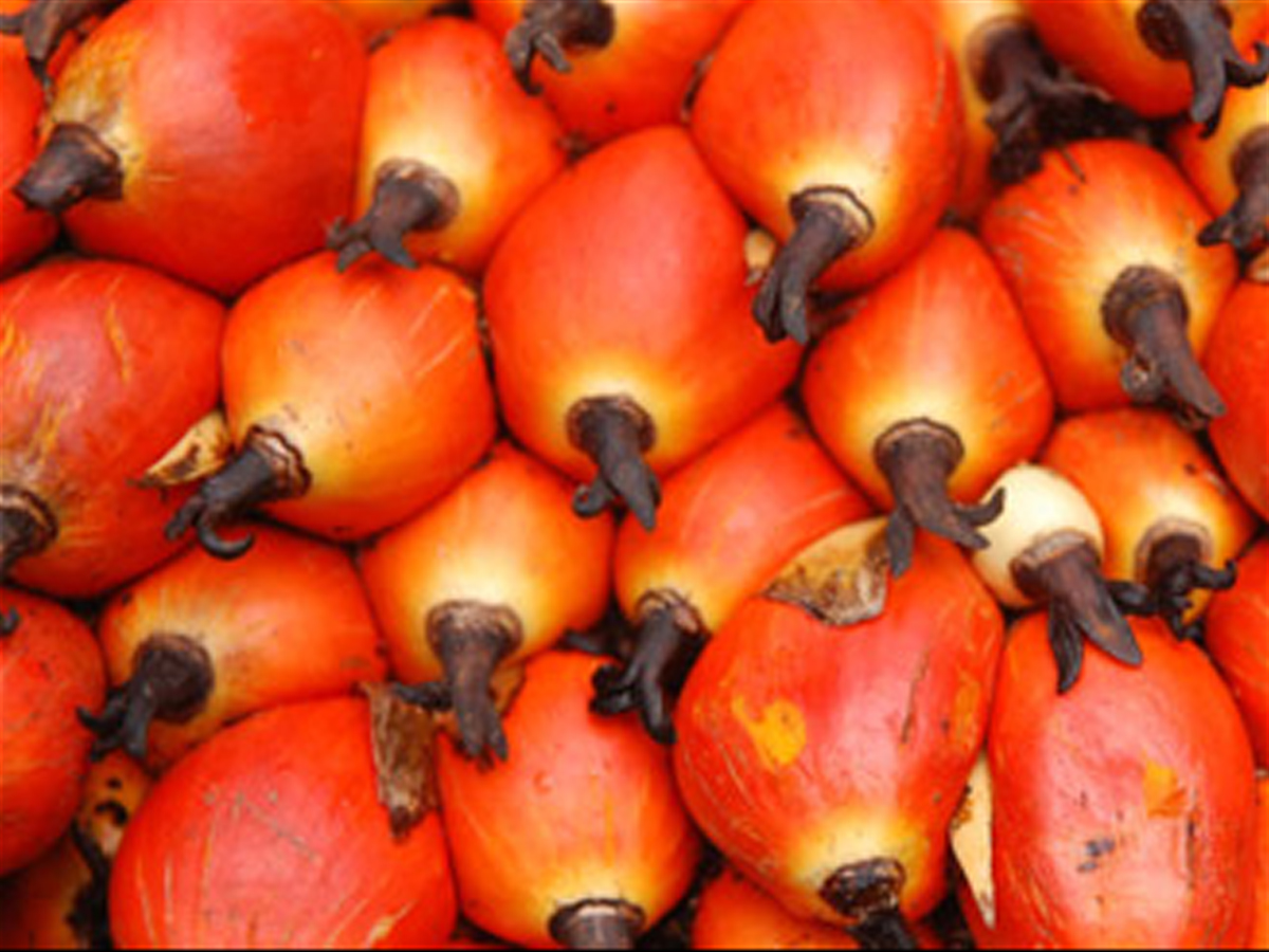 Azeite de dendê (Palm oil)