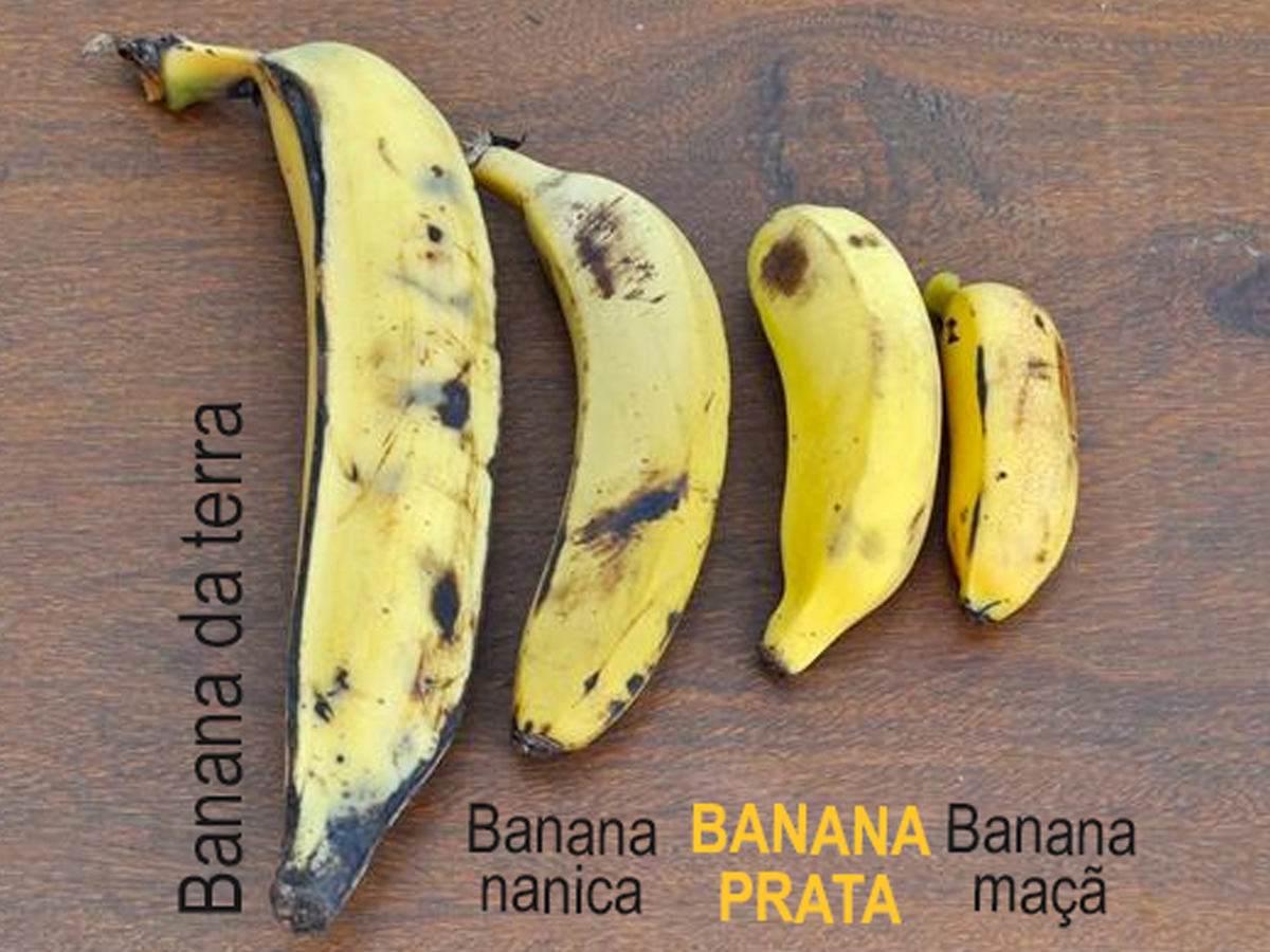 Banana prata (Banana “silver”)