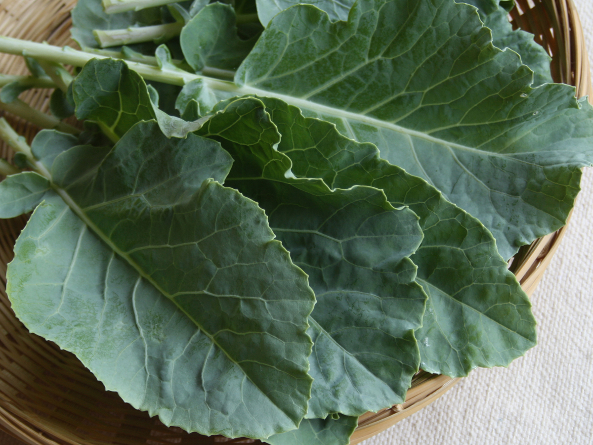 Couve-manteiga (black Cabbage)