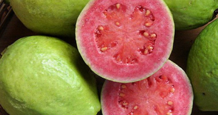 Goiaba (Guava)