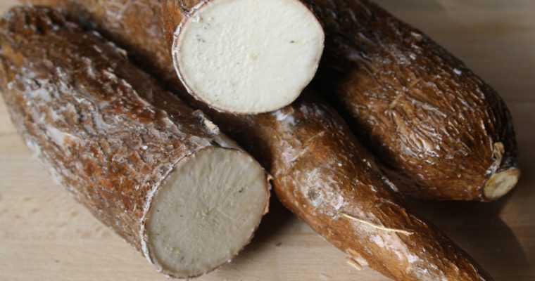 Mandioca (Manioc)