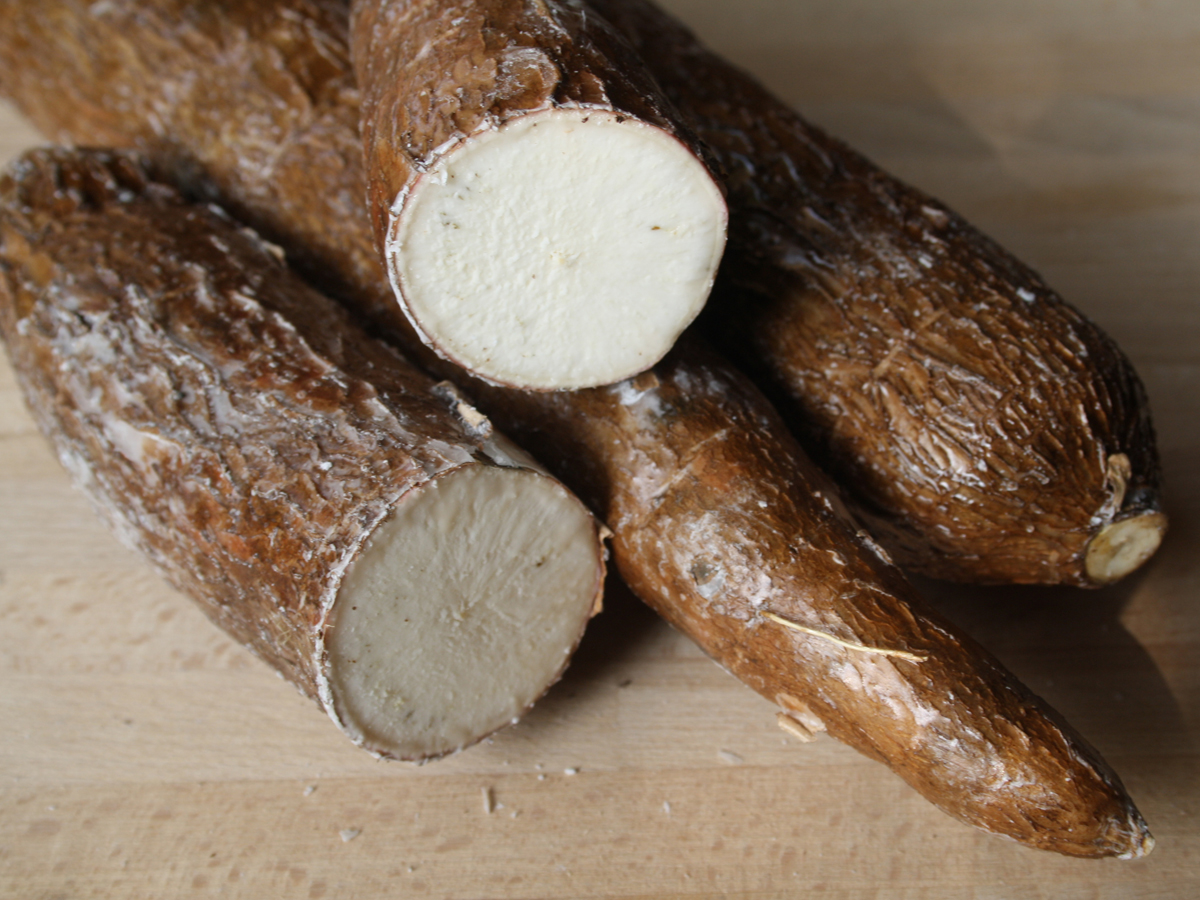 Mandioca (Manioc)