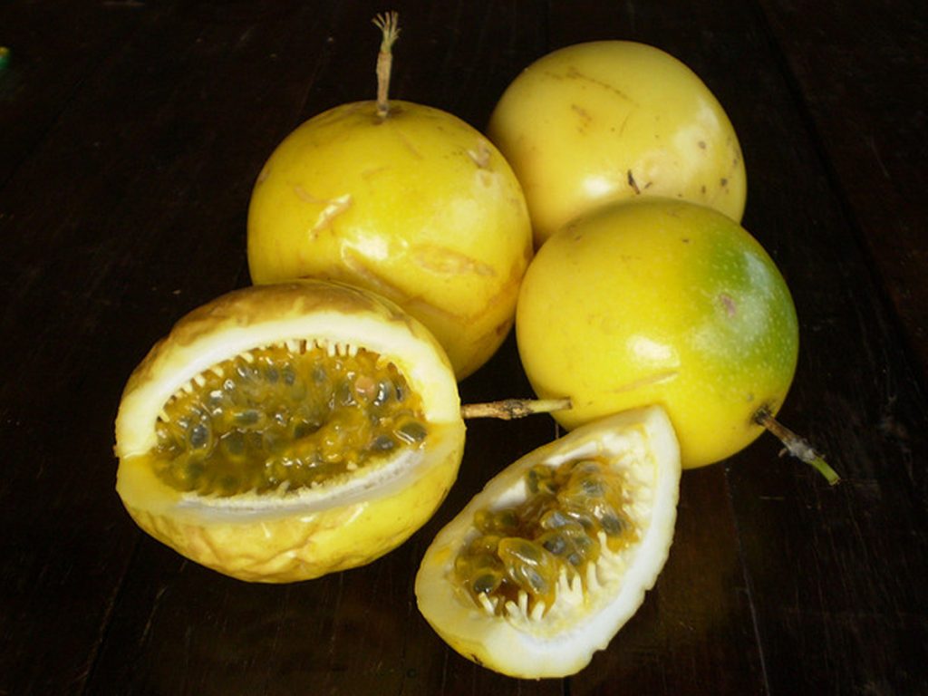 Maracujá (Passion fruit) Sabor Brasil