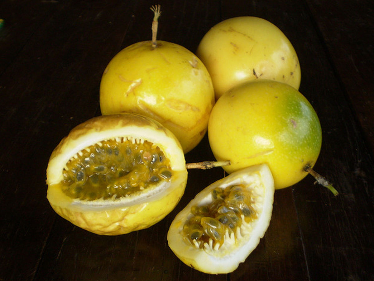 Maracujá (Passion fruit)